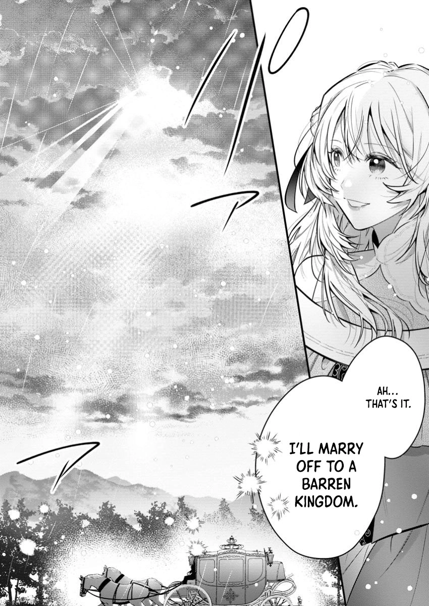 The Weather-Wielding Lady, Dumped and Seeking Marriage in the Barren Land Chapter 1 Page 17